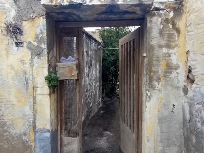 αγγελία