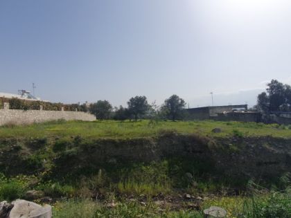αγγελία