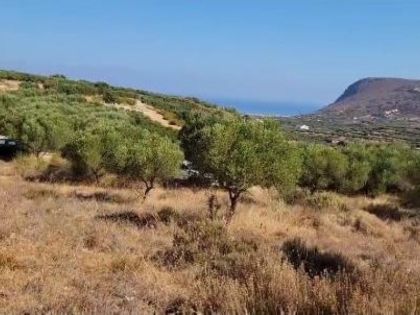ΚΟΞΑΡΗ