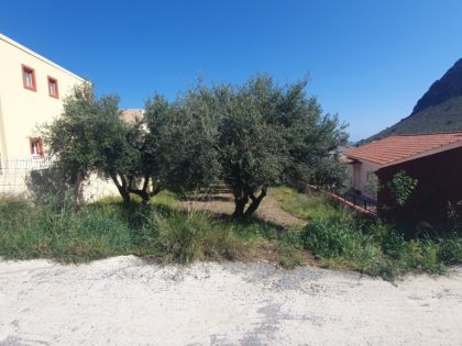 αγγελία