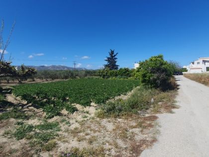 ΜΟΙΡΕΣ