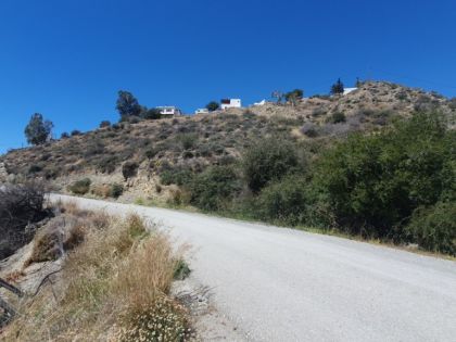 ΛΕΝΤΑΣ