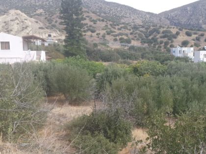 ΚΕΡΑΤΟΚΑΜΠΟΣ