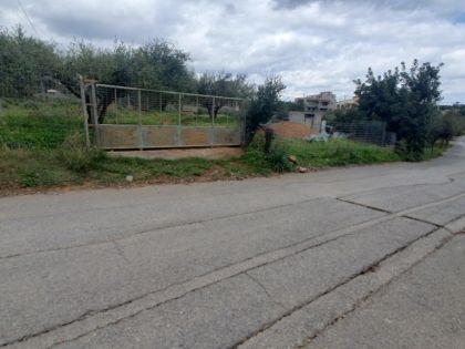 αγγελία