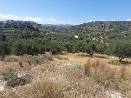 ΓΟΥΒΕΣ ΑΝΩ 