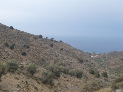 ΛΕΝΤΑΣ
