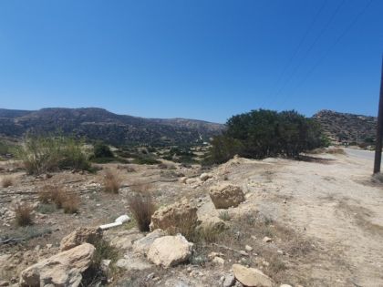 αγγελία