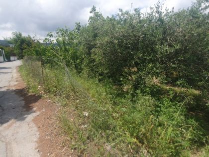 ΠΕΖΑ
