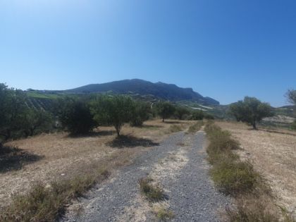 ΑΓΙΟΣ ΒΛΑΣΙΟΣ