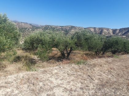 ΑΓΙΟΣ ΒΛΑΣΙΟΣ
