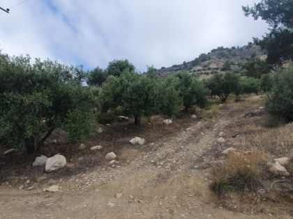 αγγελία