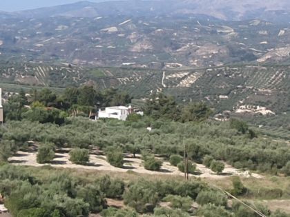 ΑΓΙΟΣ ΒΛΑΣΙΟΣ