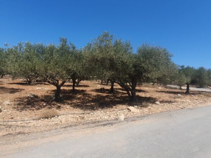 ΣΜΑΡΙ