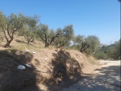 ΧΑΡΑΣΟ