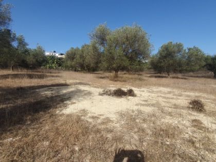 ΑΝΩΠΟΛΗ