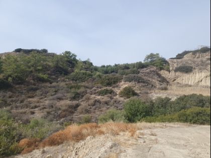 αγγελία