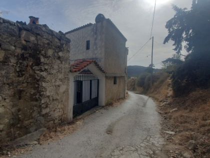 αγγελία