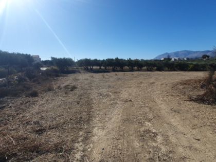 ΑΓΙΟΙ ΘΕΟΔΩΡΟΙ