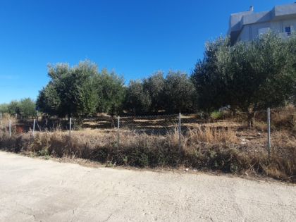 ΓΑΖΙ