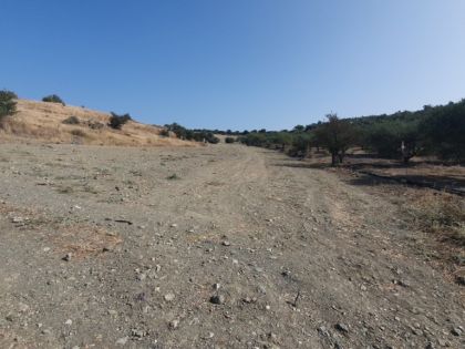 ΛΙΣΤΑΡΟΣ
