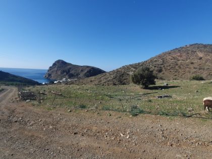 ΛΕΝΤΑΣ
