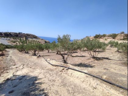 ΚΕΡΑΤΟΚΑΜΠΟΣ