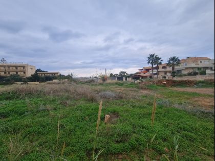 ΓΟΥΒΕΣ ΚΑΤΩ ΒΑΣΗ