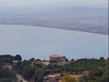 ΡΟΔΙΑ