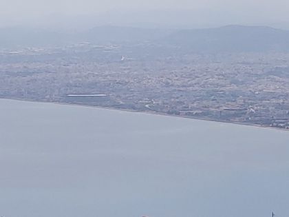 ΡΟΔΙΑ