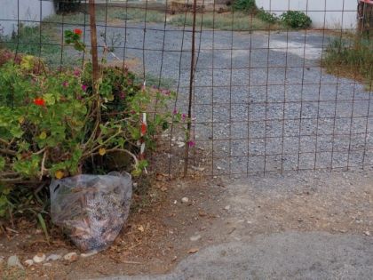 ΑΓΙΟΣ ΙΩΑΝΝΗΣ ΚΝΩΣΟΥ