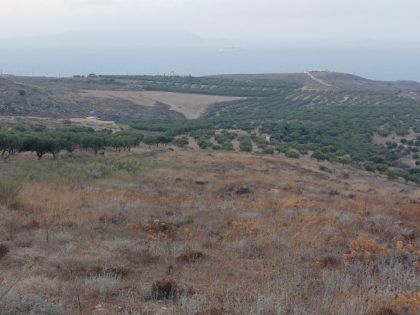 ΚΟΚΚΙΝΗ ΧΑΝΙ