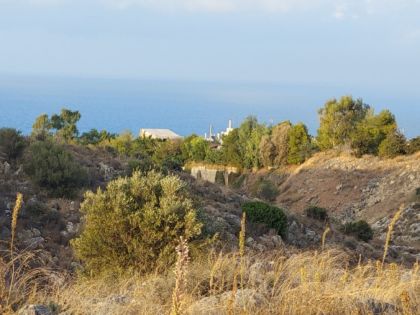 ΒΡΑΧΟΚΗΠΟΣ