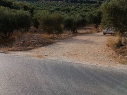 ΤΥΛΙΣΣΟΣ