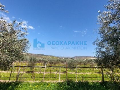 ΣΥΛΛΑΜΟΣ