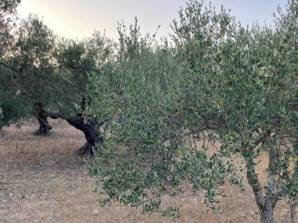 ΑΝΩΠΟΛΗ