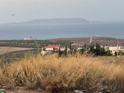 ΒΡΑΧΟΚΗΠΟΣ