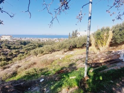 ΚΟΚΚΙΝΗ ΧΑΝΙ