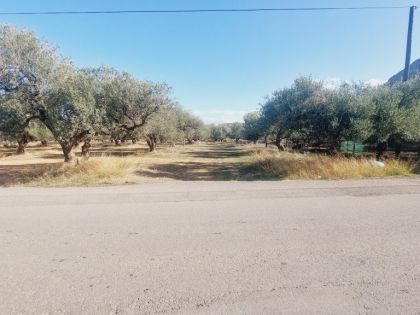 ΓΟΥΒΕΣ ΚΑΤΩ 