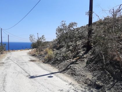 ΧΡΥΣΟΣΤΟΜΟΣ