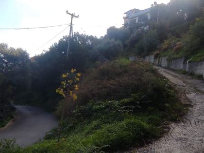 ΡΟΔΙΑ