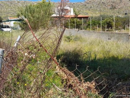 ΚΟΚΚΙΝΗ ΧΑΝΙ