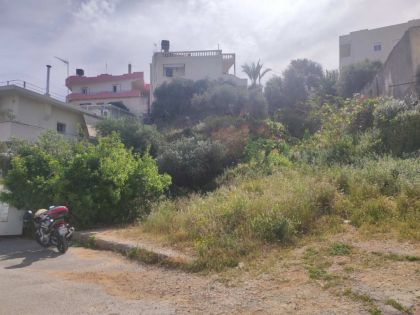 ΠΑΤΕΛΕΣ