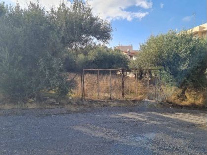 ΜΕΣΑΜΠΕΛΙΕΣ