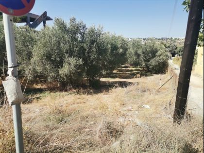 ΜΑΛΑΔΕΣ