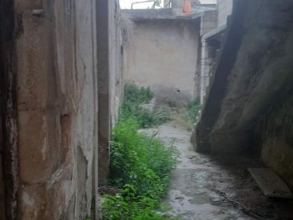 αγγελία