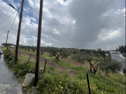 αγγελία