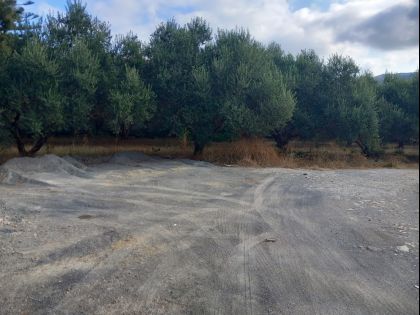 αγγελία