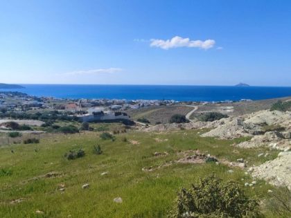 ΝΕΟ ΚΑΛΑΜΑΚΙ