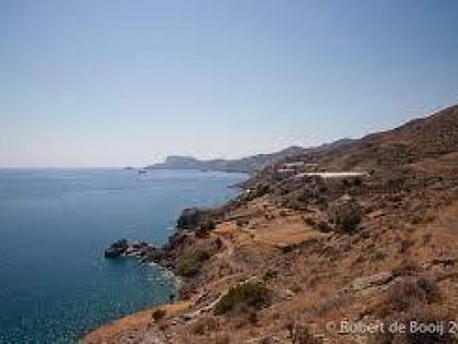 ΤΖΙΓΚΟΥΝΑΣ
