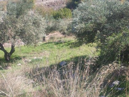 αγγελία